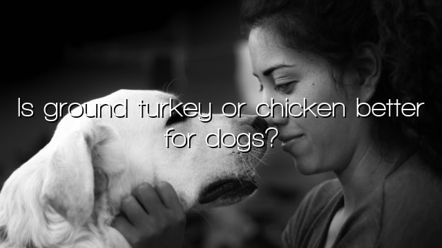 Is ground turkey or chicken better for dogs?