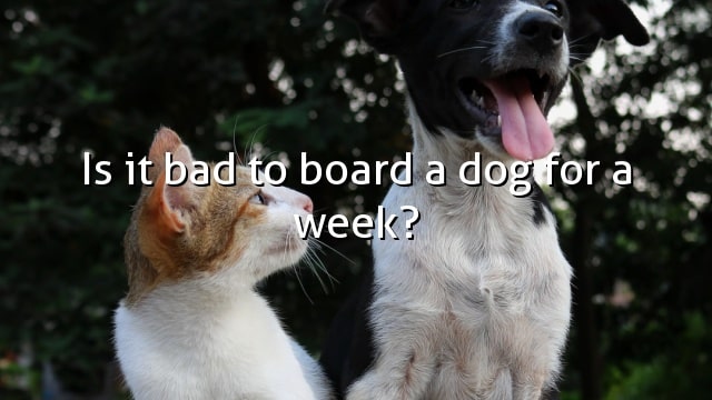 Is it bad to board a dog for a week?