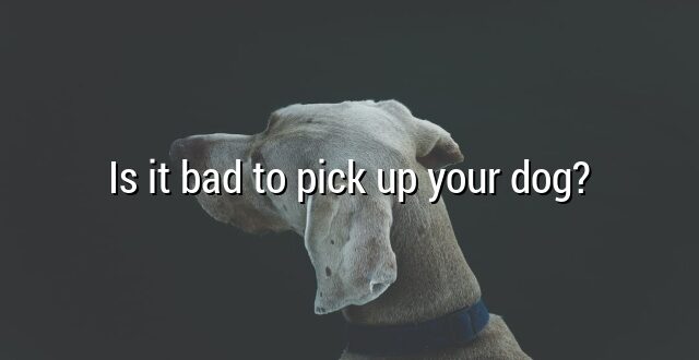 Is it bad to pick up your dog?