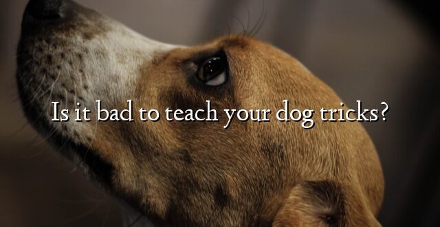 Is it bad to teach your dog tricks?
