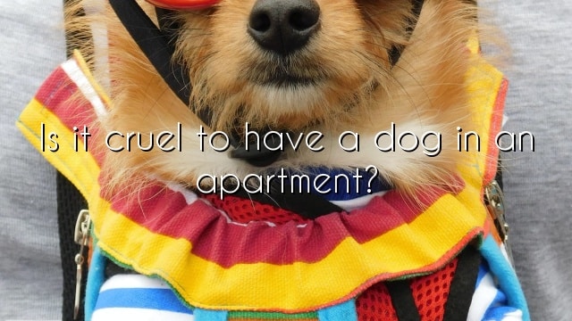 Is it cruel to have a dog in an apartment?