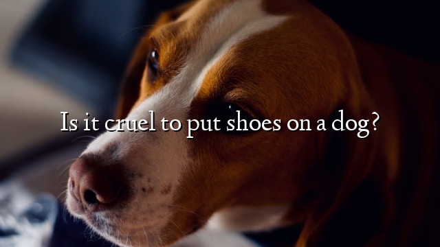 Is it cruel to put shoes on a dog?