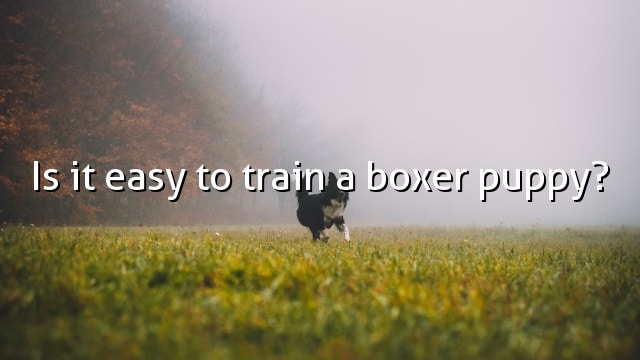 Is it easy to train a boxer puppy?