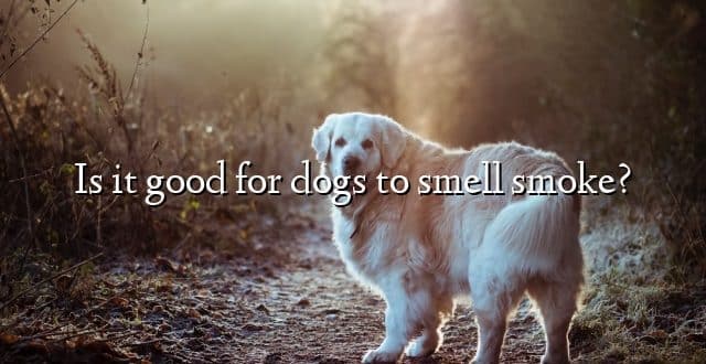Is it good for dogs to smell smoke?