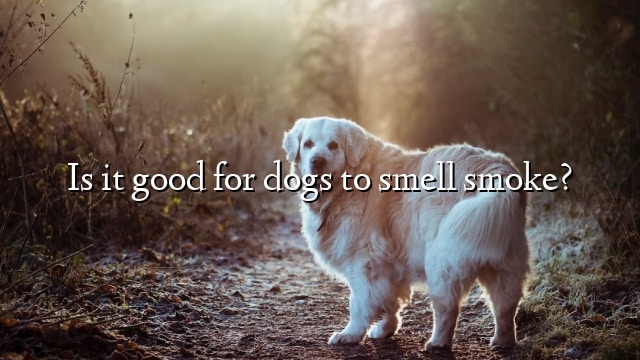 Is it good for dogs to smell smoke?
