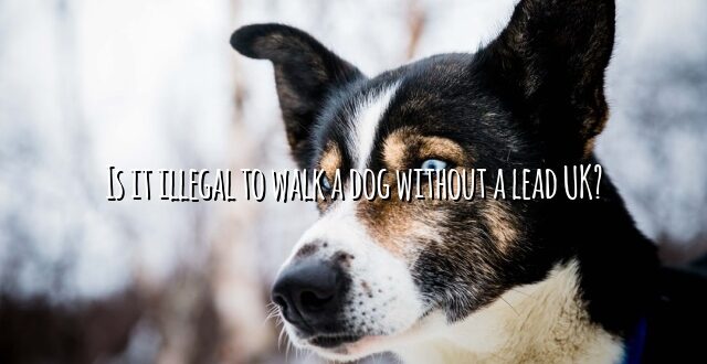 Is it illegal to walk a dog without a lead UK?