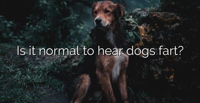 Is it normal to hear dogs fart?