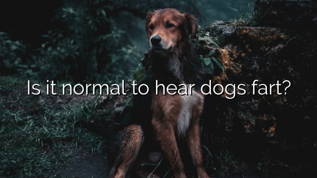 Is it normal to hear dogs fart?