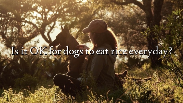 Is it OK for dogs to eat rice everyday?