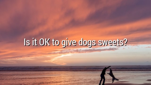 Is it OK to give dogs sweets?