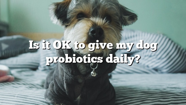 Is it OK to give my dog probiotics daily?