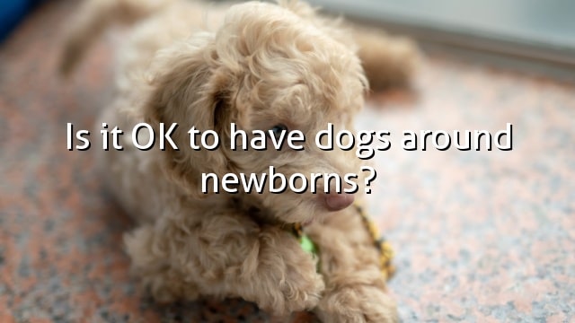 Is it OK to have dogs around newborns?