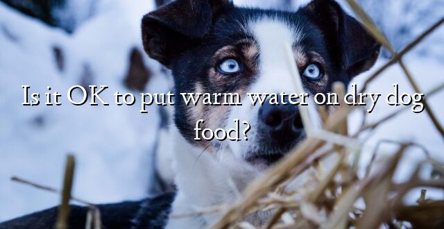 Is it OK to put warm water on dry dog food?