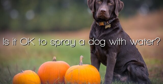 Is it OK to spray a dog with water?