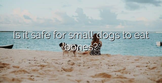 Is it safe for small dogs to eat bones?