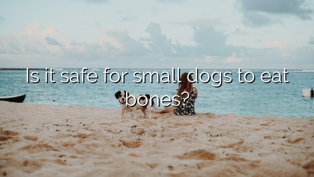 Is it safe for small dogs to eat bones?