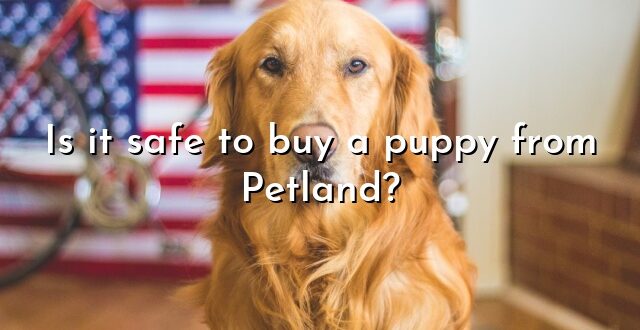 Is it safe to buy a puppy from Petland?