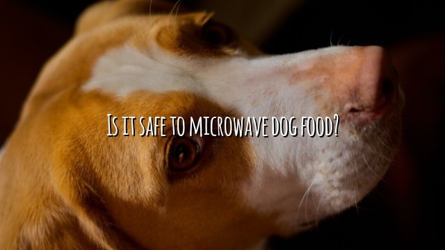 Is it safe to microwave dog food?