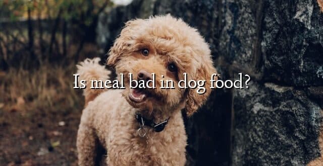 Is meal bad in dog food?