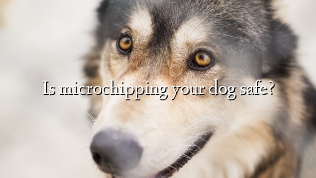 Is microchipping your dog safe?
