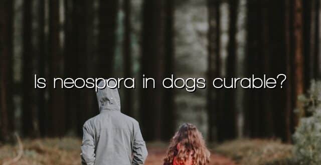 Is neospora in dogs curable?