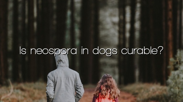 Is neospora in dogs curable?