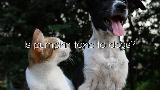 Is pumpkin toxic to dogs?