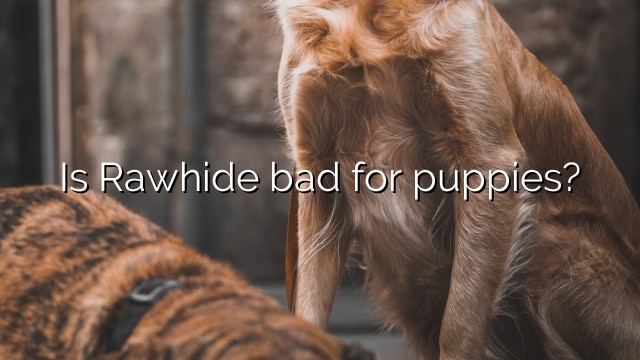 Is Rawhide bad for puppies?