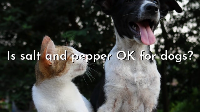 Is salt and pepper OK for dogs?