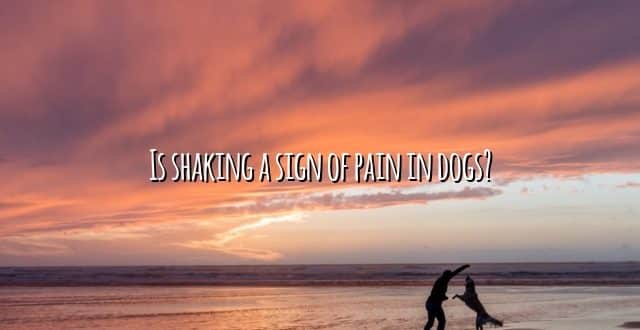 Is shaking a sign of pain in dogs?