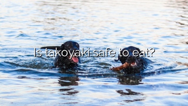 Is takoyaki safe to eat?