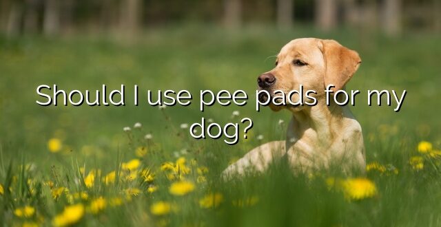Should I use pee pads for my dog?