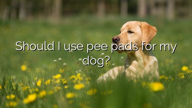 Should I use pee pads for my dog?