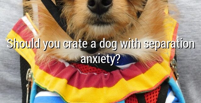 Should you crate a dog with separation anxiety?