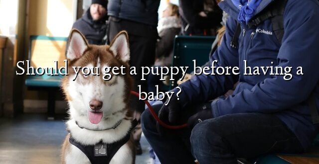 Should you get a puppy before having a baby?