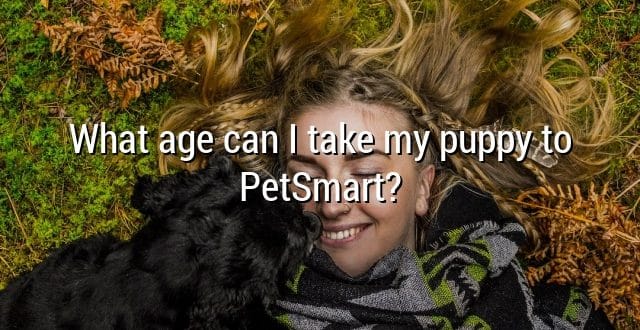 What age can I take my puppy to PetSmart?