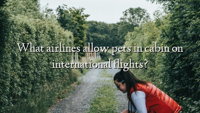 What airlines allow pets in cabin on international flights?