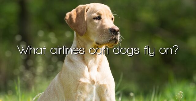 What airlines can dogs fly on?