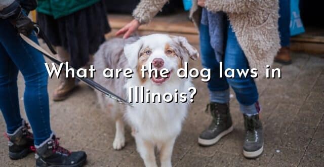 What are the dog laws in Illinois?