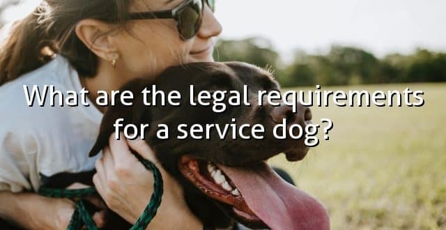 What are the legal requirements for a service dog?