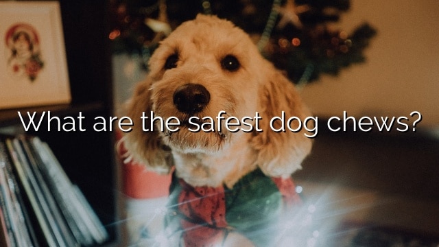 What are the safest dog chews?