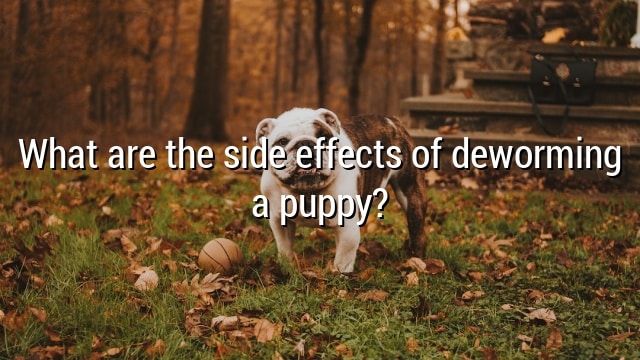What are the side effects of deworming a puppy?
