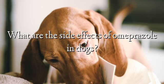 What are the side effects of omeprazole in dogs?