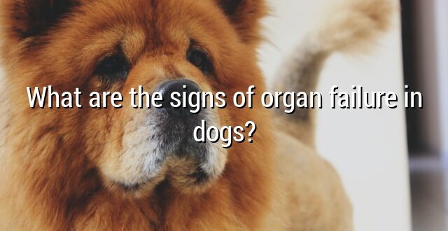 What are the signs of organ failure in dogs?