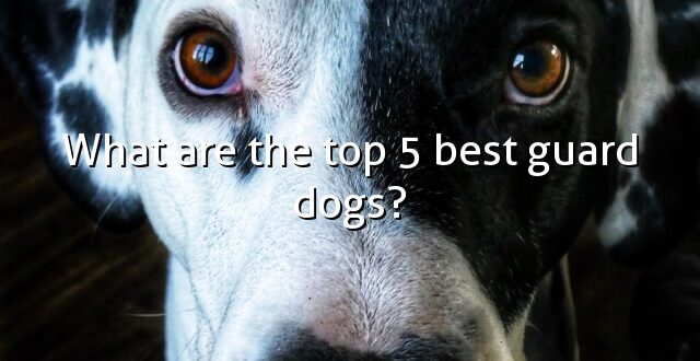 What are the top 5 best guard dogs?