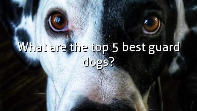 What are the top 5 best guard dogs?