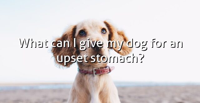 What can I give my dog for an upset stomach?