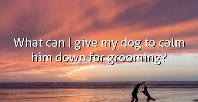 What can I give my dog to calm him down for grooming?