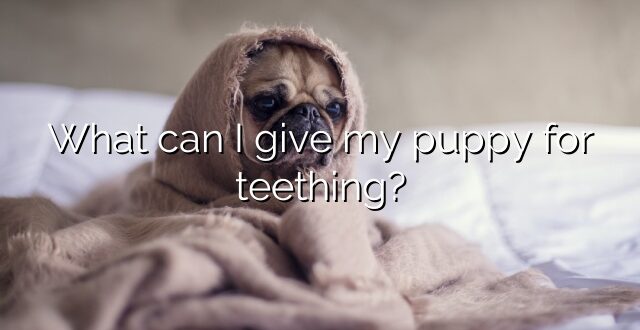 What can I give my puppy for teething?