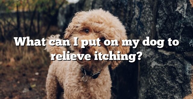 What can I put on my dog to relieve itching?